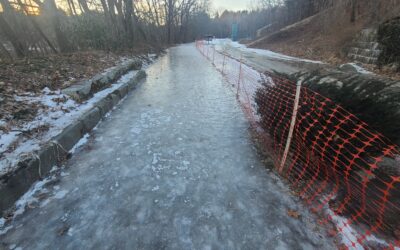 Ice on the Rail Trail