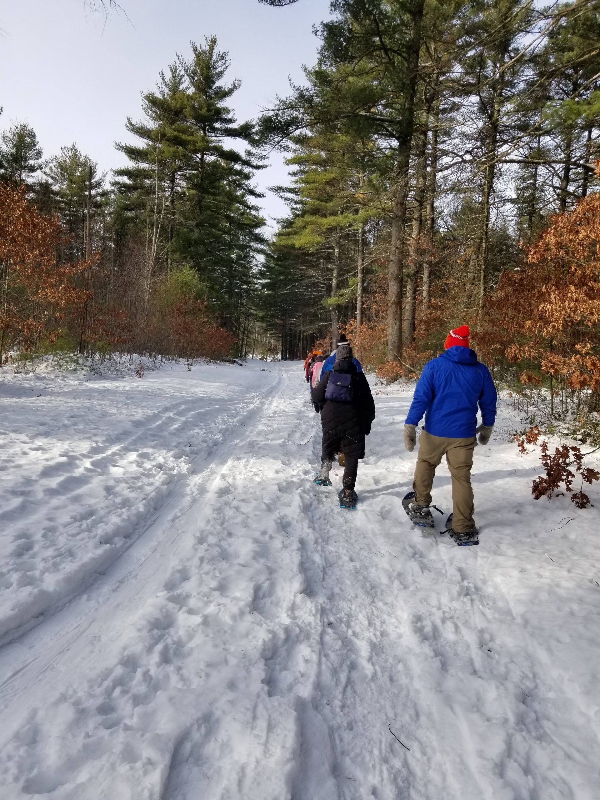 Watershed Ranger Program: Cabin Fever Snowshoe Hike